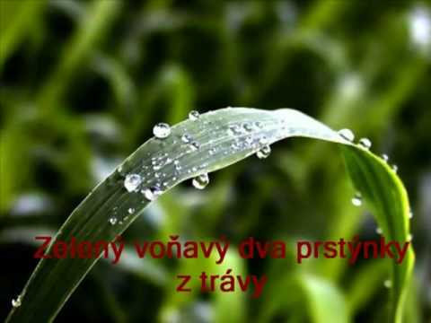 Nezmari - Bodláky Ve Vlasech zdarma vyzvánění ke stažení