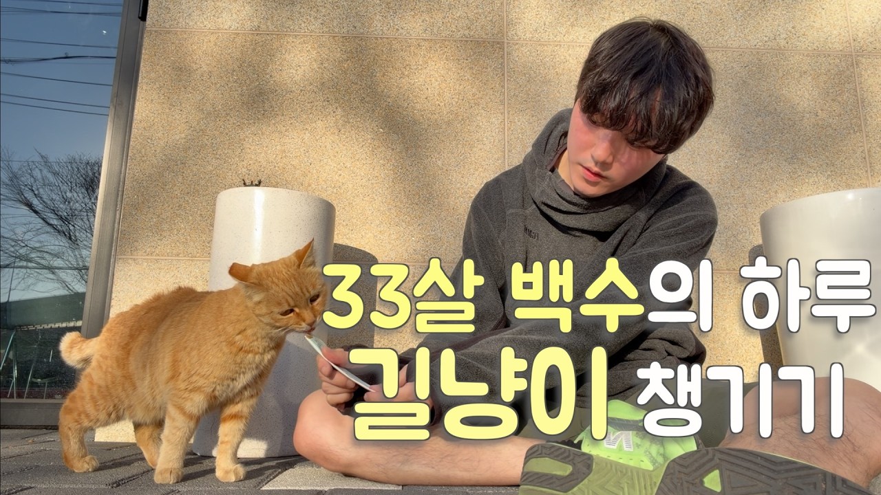 33살 백수의 하루, 길냥이 챙기기