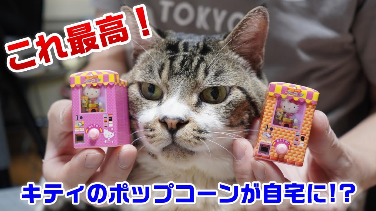 【レア】ハローキティかぶりんぼ H*1様 ハローキティ 根付 ストラップ サンリオキャラクターかぶりんぼ