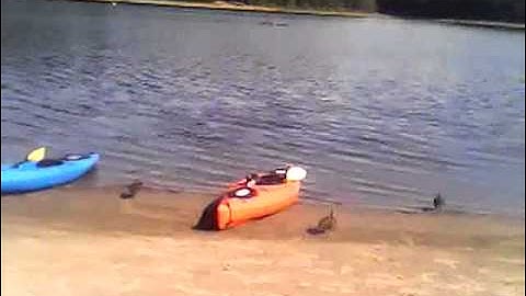 Eclipse mp3 player test recording