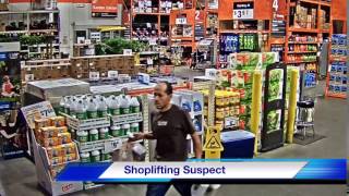 Police seek public assistance to identify shoplifting suspect