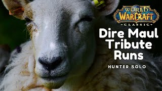 Tribute Run Guide for Hunters - Classic World of Warcraft Gameplay 2020