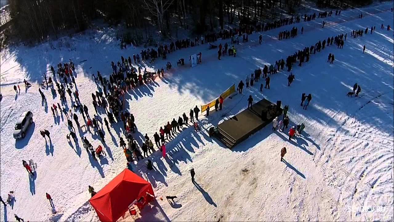 Гонки на собачьих упряжках