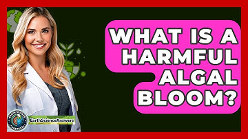 What Is A Harmful Algal Bloom? - Earth Science Answers