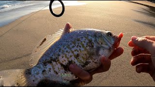 Surf Perch Fishing California | Slab City!