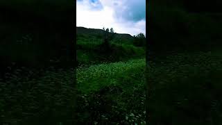 🌿 طبیعت زیبای گلدره | Beautiful Nature of Goldara ✨ #گلدره #Nature #Beautiful