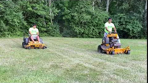 Green Bushes Landscaping Lemont, Illinois