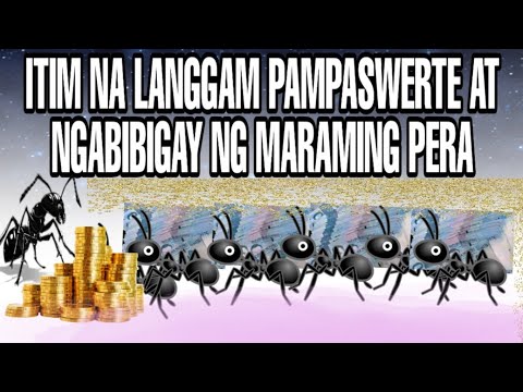 Video: Ano ang ibig sabihin ng maliksi na negosyo?