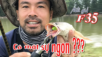 Câu Lure Cá Lóc ● Câu Cá Lóc Mồi Giả F35 Có Thật Sự Ngon / Snakehead fishing | Tâm Râu Vlog #3