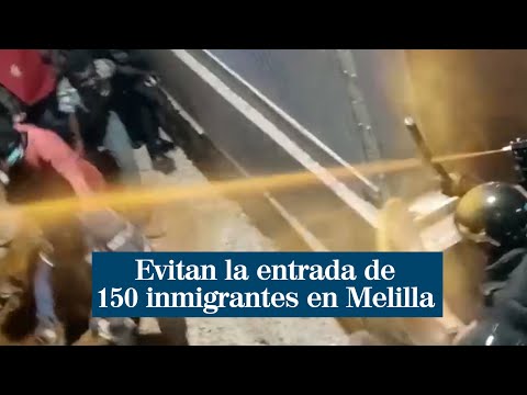 Vídeo: 15 Inmigrantes Dan Sus Primeras Impresiones De América