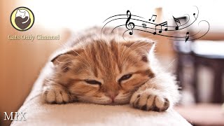 Cat Relaxation Music  Calming Sleep Music + Cat Purring Sounds