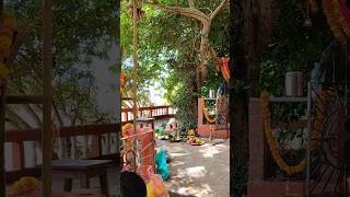 Our native temple mahasati pooja program in honnavar was successfully",