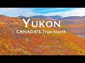 4K Fly over Canada/Northern lights,fall colors,Whitepass Yukon route train to skagway alaska/arctic