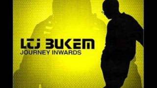 Video thumbnail of "LTJ Bukem - Inner Guidance"