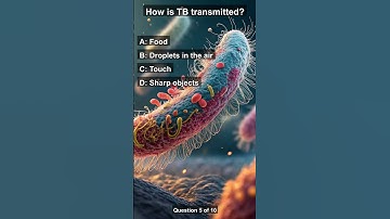 Test Your Knowledge: Fun and Challenging Trivia Quiz