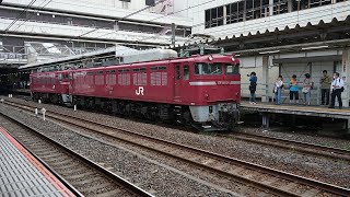 EF81-134+ED75-767 大宮駅 11番線 2024年9月21日