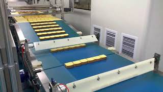 蛋糕理料线Soft sliced cake packing machine line/Packaging system / Automatic packaging equipment ZP-500SG