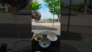캠핑장에서 마지막 아침을 보내며 차 한잔 #캠핑모닝 #햇살가득아침 #찻잔속여유 #초록쉼표 #한잔의평온 #도심뷰캠핑 #맑은하늘 #오늘도차한잔 #나만의시간 #감성캠핑 #차캠핑라이프