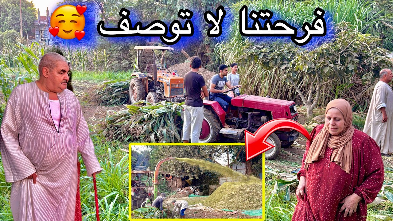 ورجعنا تاني بتقلنا 💪 ورجع موسم الفلاح اللي كلة رزق مع انة شقي لكن فرحة لا توصف بحصاد خير ارضة 🥰