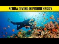 Scuba Diving Experience in Pondicherry | BEST Underwater experience in India😍
