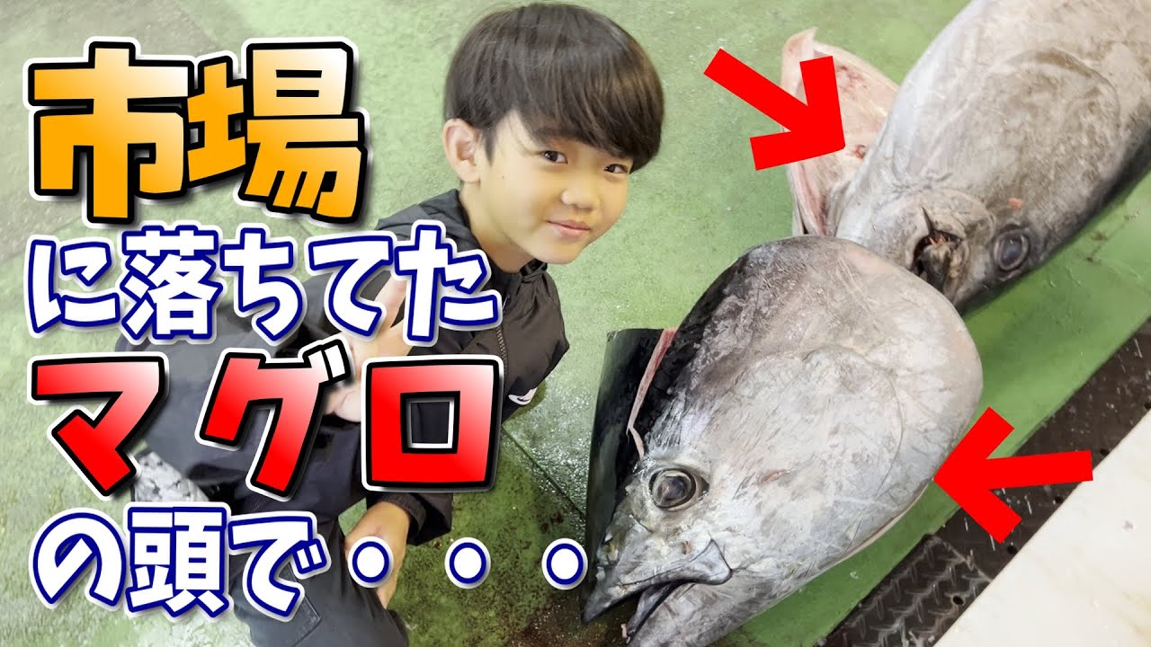 【巨大マグロの頭】8歳のお魚少年がオススメする意外な部位！？｜Giant Tuna Head! 8-Year-Old Fish-Loving Boy Recommends a Hidden Gem!?