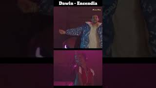Dawin - Encendia #Shorts