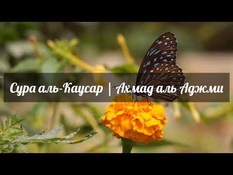 Коран. Сура аль Каусар | Ахмад аль Аджми