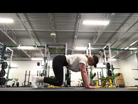 Core: Quadruped Hovering