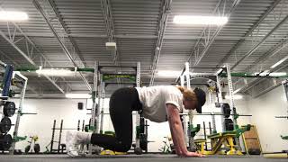 Core: Quadruped Hovering