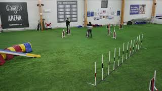 International Training Week: Dogs with high obstacle focus with Jaakko