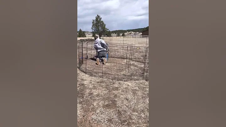 Colorado Mountain Dog Temperament Test 7 weeks,  T...
