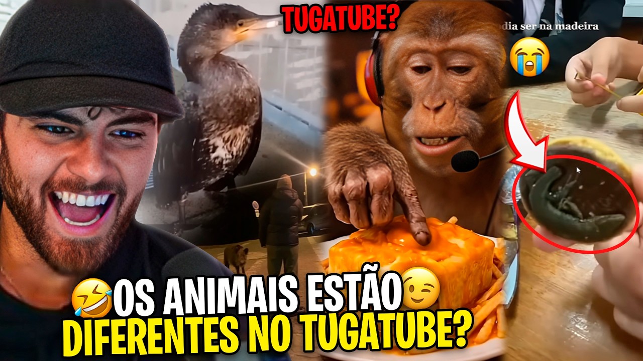 WINDOH REAGE A TUGATUBE 🤣 ' PORTUGAL NO YOUTUBE EP 10 '