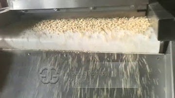 Nut Chopper|Walnut Peanut Almond Particle Cutter Machine Video From Cara@machinehall.com