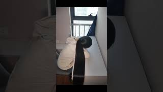 Download Lagu hairs_100cm #hair #hairstyle #wigs #beauty #hairextensions #longhair #hairtok #hairtutorial MP3