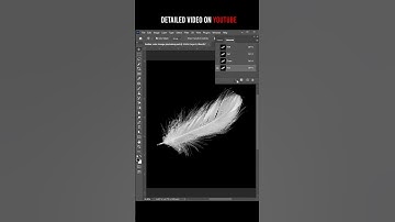 change complex feather background color in photoshop #feather #background #change #photoshop