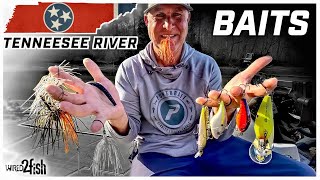 Top Tennessee River Bass Baits for Every Season