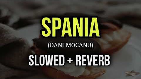 Dani Mocanu - SPANIA 🇪🇸 - Slowed  + Reverb