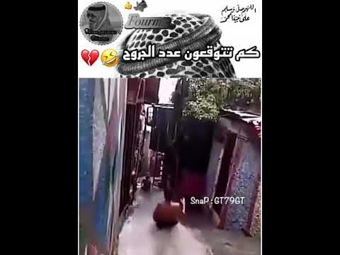 كم تتوقعون عدد الجروح مقاطع مضحكة