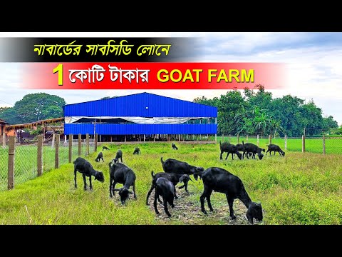 ভিডিও: কীভাবে সাবসিডি হিসাব করবেন