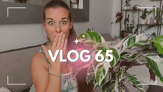 J'avais dit que je n'achèterai jamais cette plante! Philodendron Florida ghost évolution | VLOG 65 |