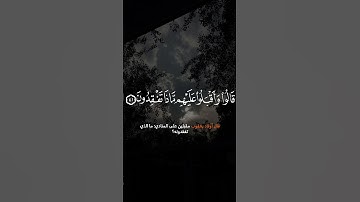 تلاوة عطرة  من سورة يوسف #قرآن #اكسبلور  #اجر_لي_ولك #ترند #دويتو #خير_السور #ترند_تيك_توك