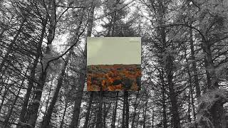 Andrew Gialanella - Simplicity