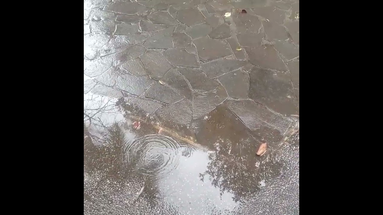 Luneta in Chinese Garden