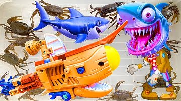 Kem Ốc Chanel ra bờ ao bắt cá mập Baby Shark và zombie, cứu con cá, con cua, máy hút bụi hút zombie