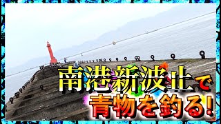 第215話【南港新波止】青物春シーズン!ショアジギングで春一番を狙う!の巻