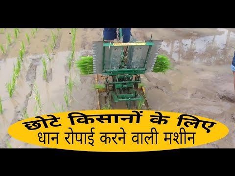 Paddy transplant machine easily operated by hands Paddy transplant machine