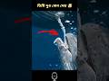 তিমি দুধ কেন দেয় 🤯||Why do whales give milk?#viral #facts #bengalifacts #shorts