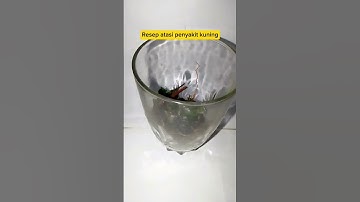 Ini dia obat herbal penyakit kuning#obatherbal #tanamanliar #penyakitkuning #meniran