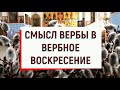 Вход Господень во Иерусалим.