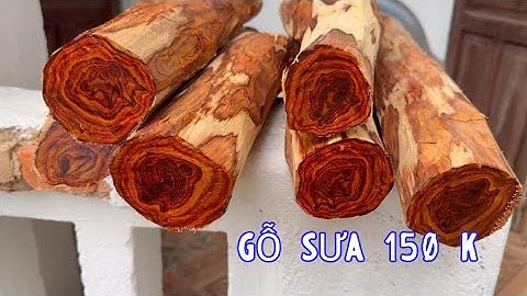 Gỗ Sưa Hơn 20 Năm Hàng Cành Chất Gỗ Đỏ Tươi Giao Lưu Với Anh Em Nào Cần Gỗ Sưa Non